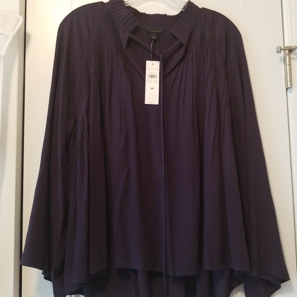 Ann Taylor Dress Shirt
